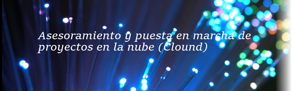 Banner 4